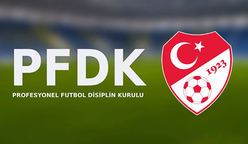 PFDK kararını açıkladı! 12Bingölspor ağır yara aldı