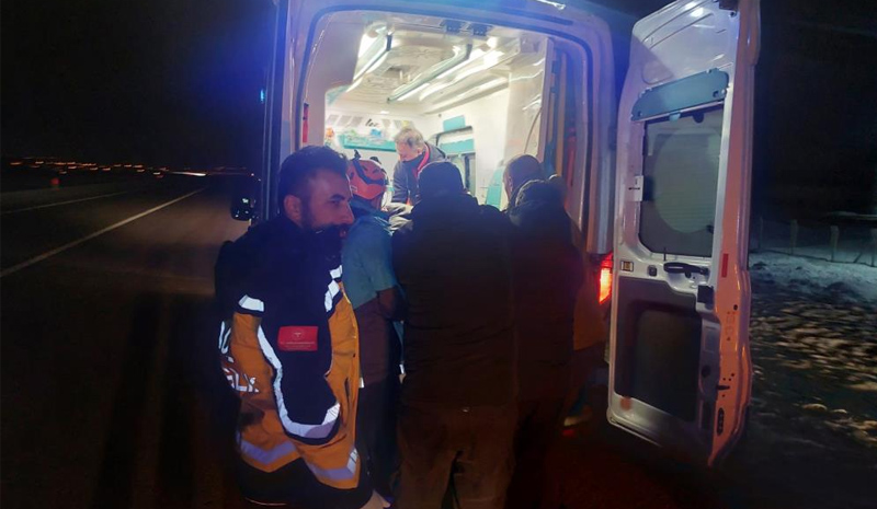 Bingöl`de otomobil domuz sürüsüne çarptı: 3 yaralı