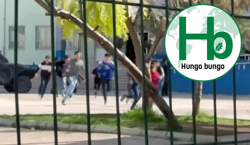 Salcı; 