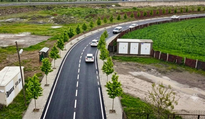 Genç`te Kronik Soruna Neşter