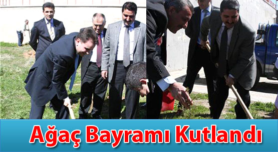 Ağaç bayramı kutlandı