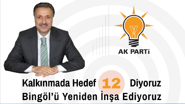 Ak parti döneminde bingöl`e neler yapıldı?