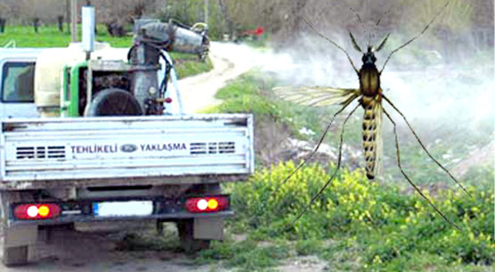 Belediye bayram`dan sonra ilaçlamayı kesti