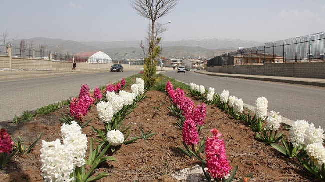 Belediyeden bahar çalışması