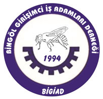 Bigiad`dan seminer