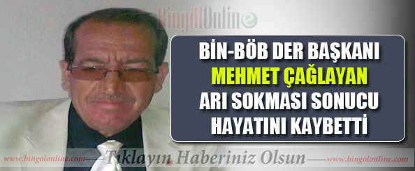 Bin-böb der başkanı, arı sokması sonucu hayatını kaybetti