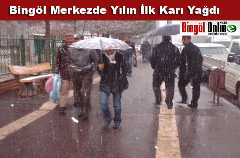 Bingöl merkezde yılın ilk karı yağdı