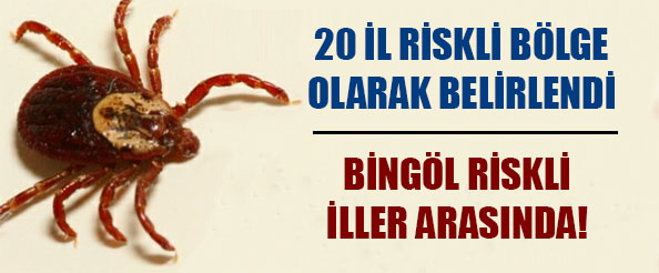 Bingöl riskli iller arasında