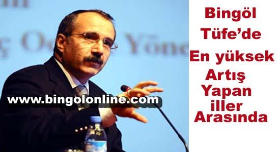 Bingöl tüfe`de en yüksek artış yapan iller arasında