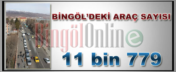 Bingöl`de araç sayısı 11 bin 779`a çıktı