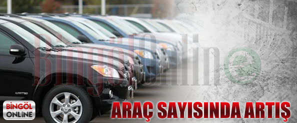 Bingöl`de araç sayısı arttı