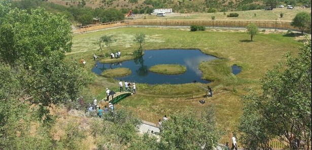 Bingöl`de rüzgarla dans eden adalar...