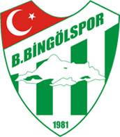 Bingölspor, sahasında galip