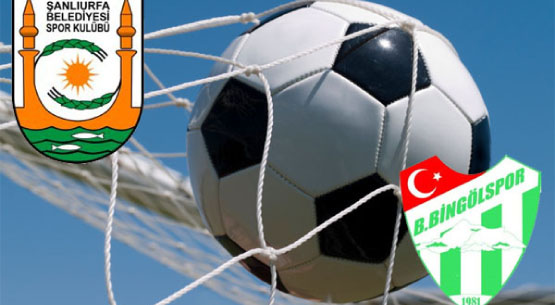 Bingölspor, şanlıurfa`ya 2-0 yenildi