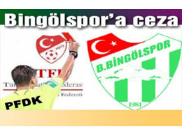 Bingölspor`a bin tl ceza