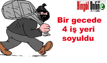 Bir gecede 4 iş yeri soyuldu