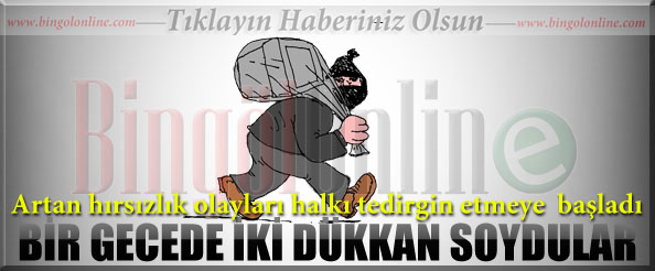 Bir gecede iki dükkan soydular