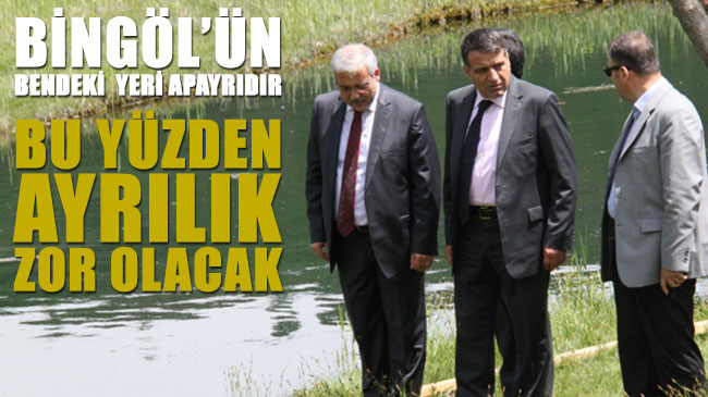 Bu ayrılık zor olacak