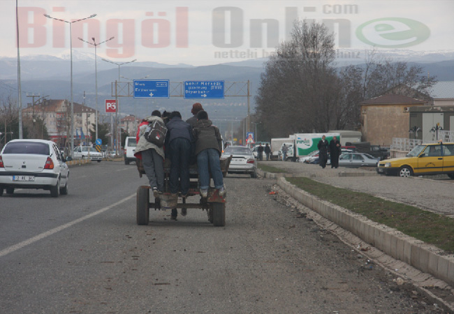 Çocukları görenler şaşkınlıklarını gizleyemedi