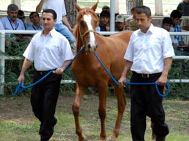 Çubukçu: eğtim kalitemiz artıyor