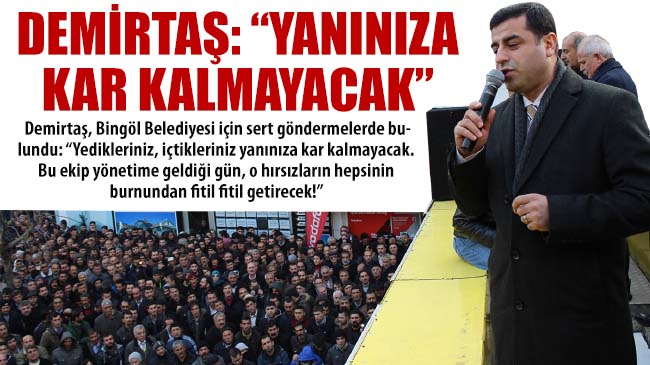 Demirtaş: yanınıza kar kalmayacak