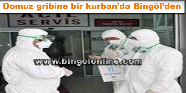 Domuz gribine bir kurban`da bingöl`den