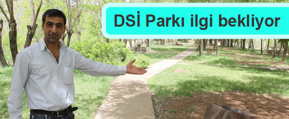 Dsi parkı ilgi bekliyor