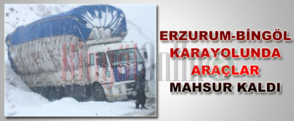 Erzurum-bingöl yolunda araçlar mahsur kaldı