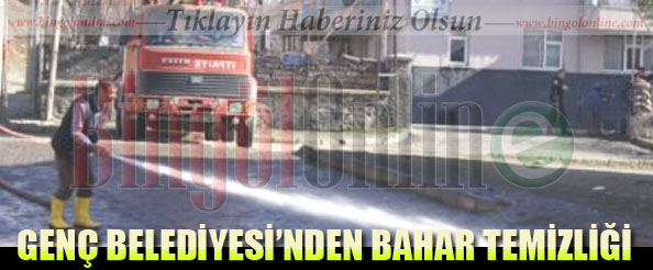 Genç belediyesi`nden bahar temizliği