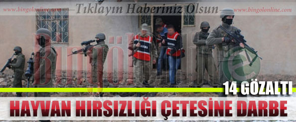 Hayvan hırsızlığı çetesine darbe: 14 gözaltı