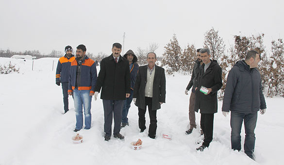 Hayvanlar için doğaya yem bırakıldı