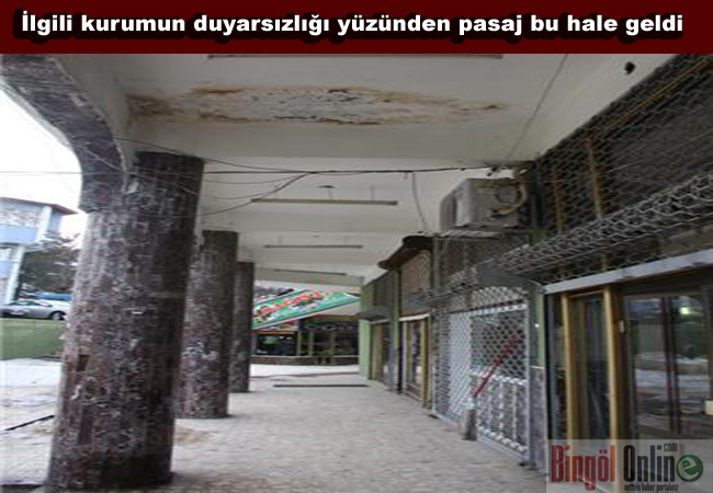 Ilgi ve duyarsızlıktan pasaj bu hale geldi