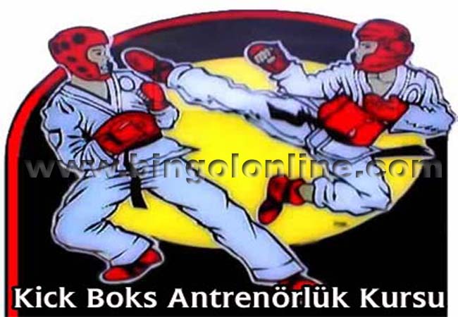 Kick boks antrenörlük kursu`nun son başvuru tarihi 22 mart