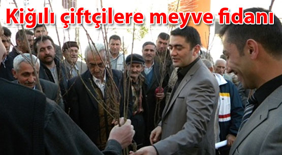 Kiğılı çiftçilere meyve fidanı