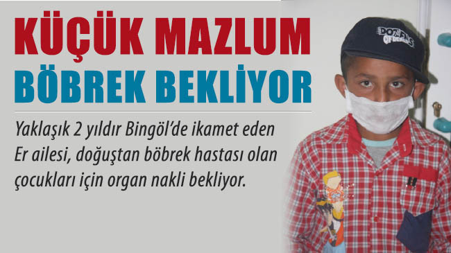 Küçük mazlum böbrek bekliyor