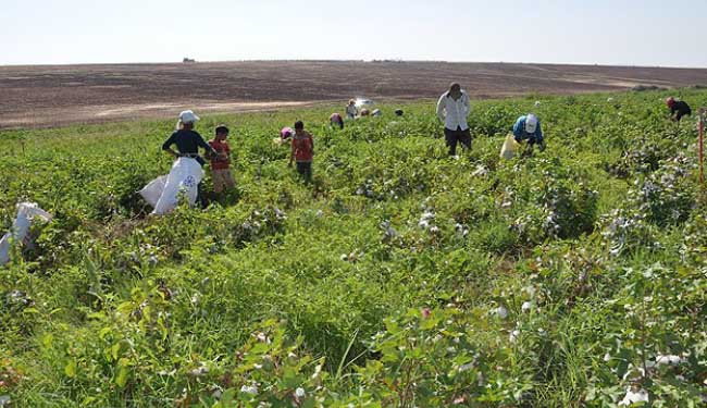 Mevsimlik işçiler için komisyon kuruluyor