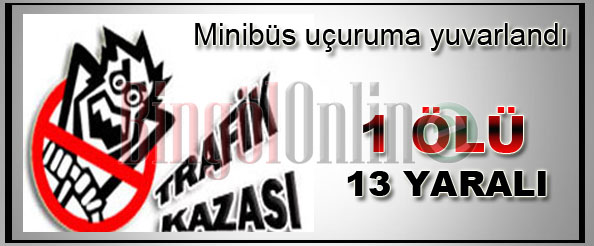 Minibüs uçuruma yuvarlandı: 1 ölü 13 yaralı