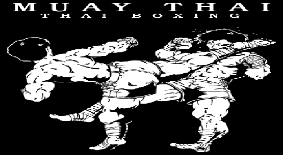 Muay thai şampiyonası yapıldı