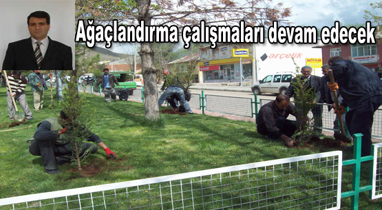 Solhan belediyesi`nin ağaçlandırma çalışmaları başladı