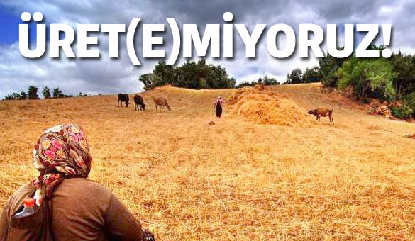 Üret(e)miyoruz!