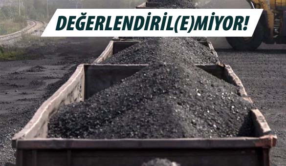 Yarım asırdır değerlendiril(e)miyor!