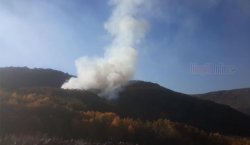Orman yangını kontrol altına alındı