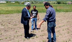 Çiftçilere hibe destekleri arttırılmalı