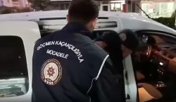 Göçmen kaçakçılığı organizatörleri yakalandı