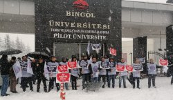 Bingöl`de Eğitim Bir-Sen protestosu! Toplu Sözleşme Kararlarına Uyulsun