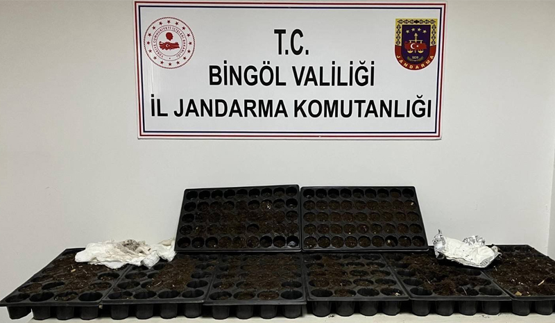 Bingöl`de Jandarmadan Bir Haftada 27 Operasyon