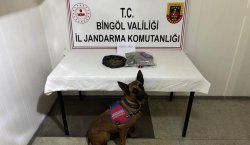 Bingöl`de kesinleşmiş hapis cezası bulunan 4 hükümlü yakalandı