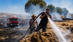 Bingöl`de Alevler 2 Bin Dönümü Küle Çevirdi