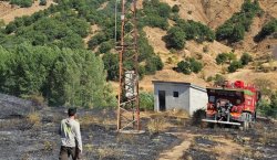 Bingöl`de kırsal alanda yangın paniği