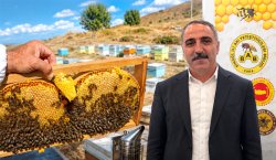 Arıcılara destek müjdesi! Kovan başına ödeme 475 TL`ye çıkıyor